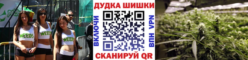 Шишки марихуана MAZAR  Купить где  Сычёвка 